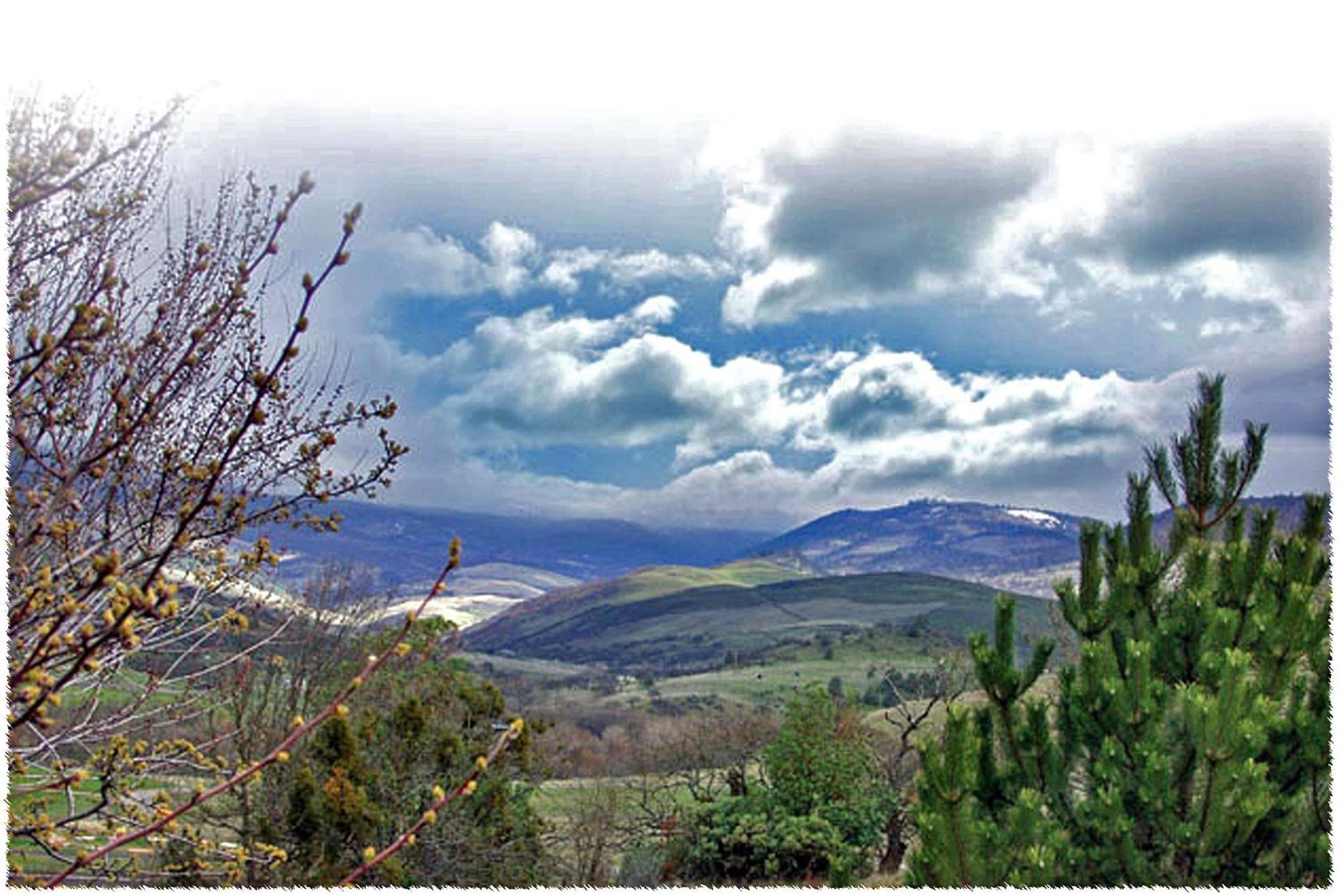 Hills &